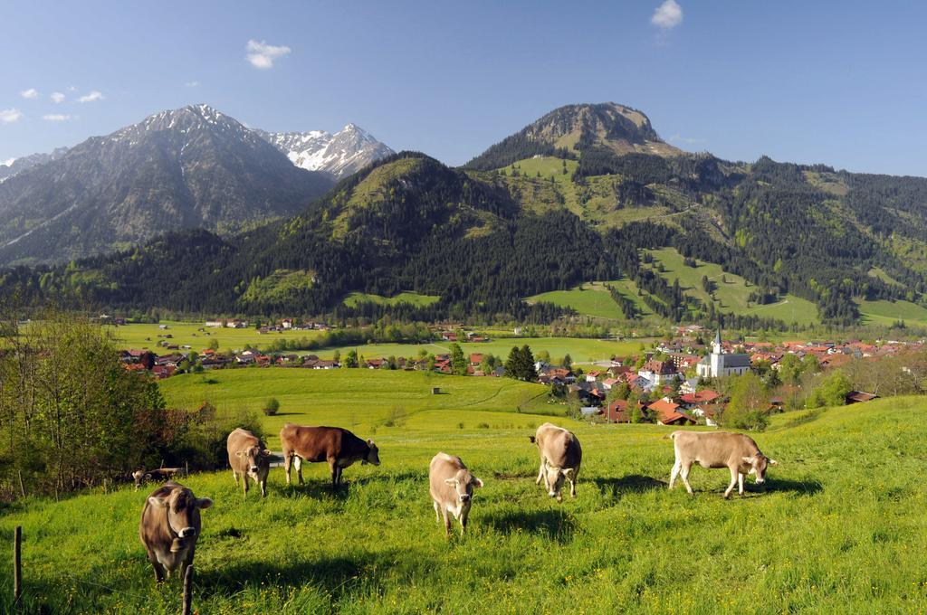 Hotel Garni Malerwinkl Bad Hindelang Bagian luar foto